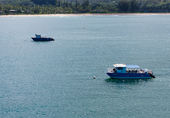 Hawaii boats